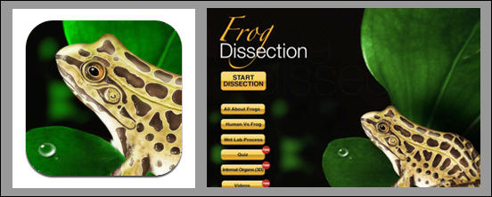 free interactive frog dissection