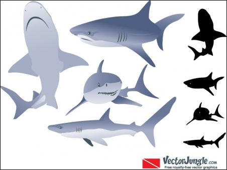Free Vector Shark Images
