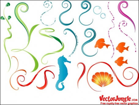 Vector Animal Sea Life