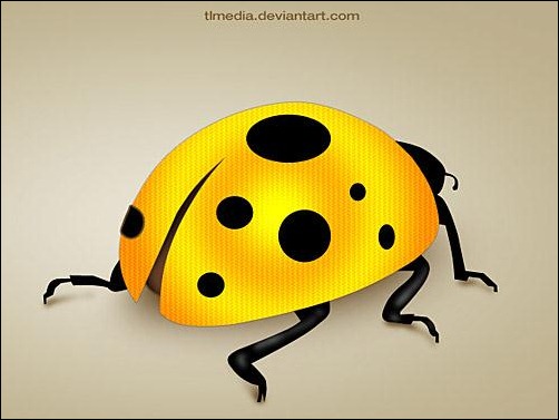 Ladybug-PSD