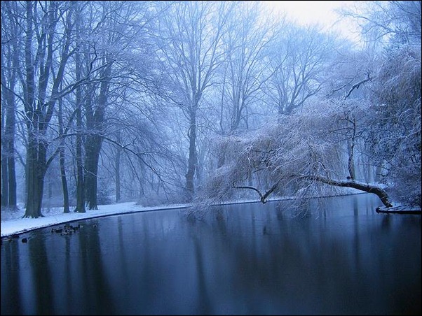 cold-misty-morning