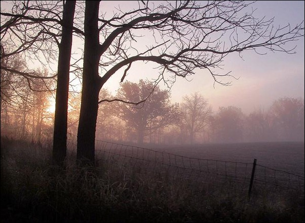 misty-november-morning