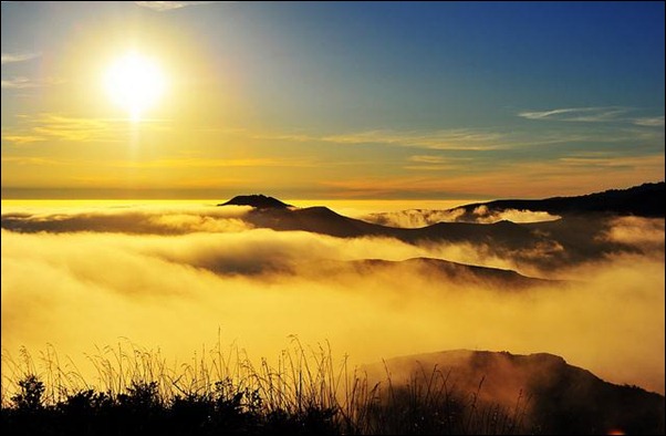 sun-hills-anf-fog