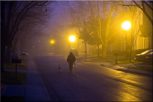 walking-the-dog-in-the-fog