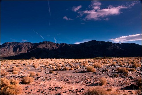 desert-floor