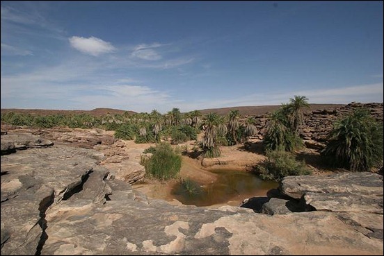 mauritanian-oasis