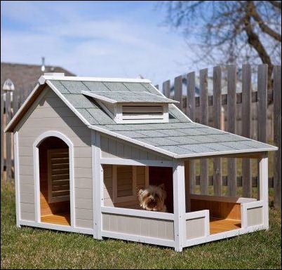 Dog House Porch