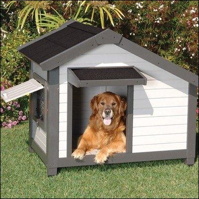 creative dog houses