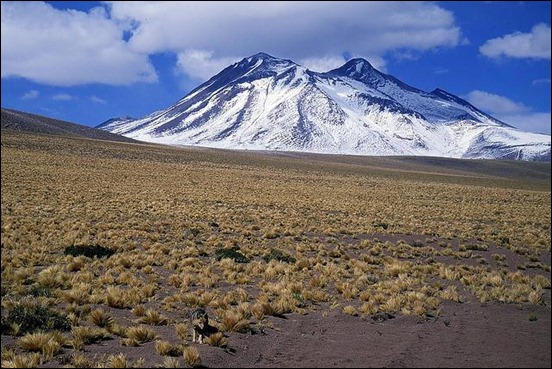 zorro-y-volcano