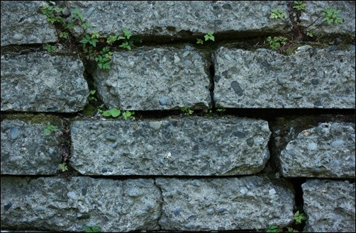 brick-tile-texture