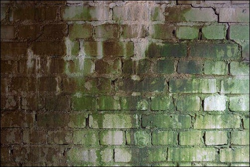 grimy-brick-wall