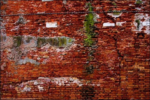 venezian-brick-wall