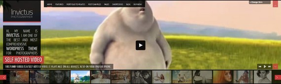wordpress-video-themes