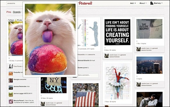 pinterest-pro[3]