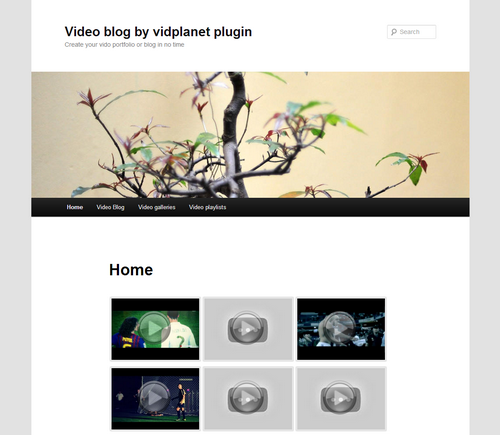 Vidplanet, video plugin