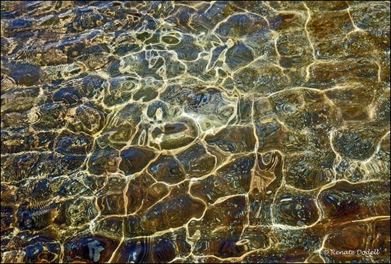 water-texture[7]