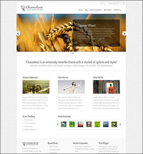 chameleon-wp-theme