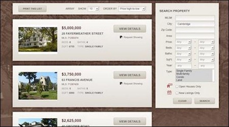 mls-search Real Estate WordPress Plugins