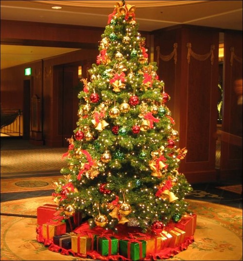 christmas-tree-pic