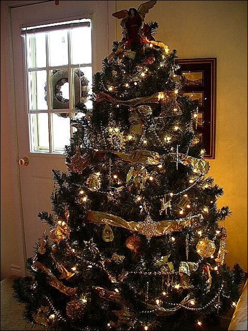 ohh-christmas-tree