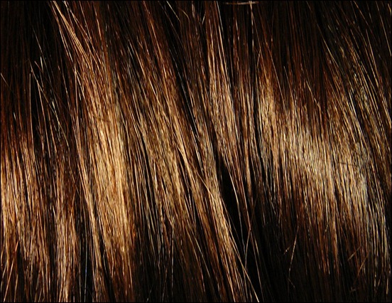 brown-hair-texture-pack