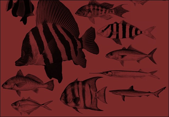 fish-brushes-cs2