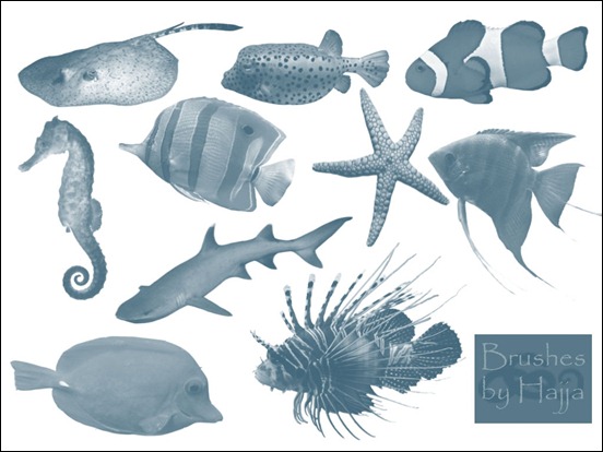 fish-brushes-photoshop-