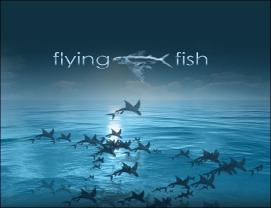 flying-fish