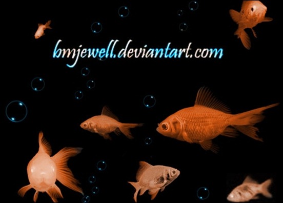 goldfish-brushes-