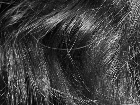hair-texture-III
