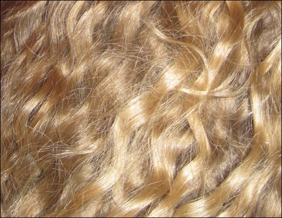 hair-texture[5]