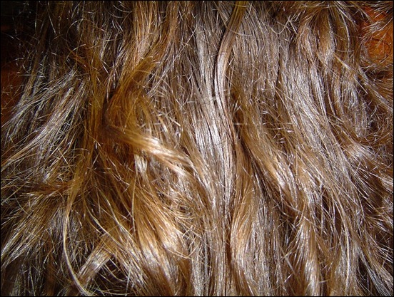 hair-texture[9]
