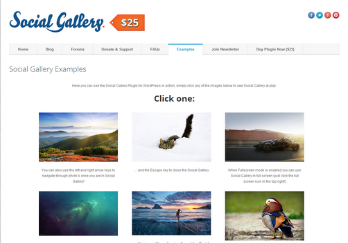 Social Gallery, WordPress Portfolio