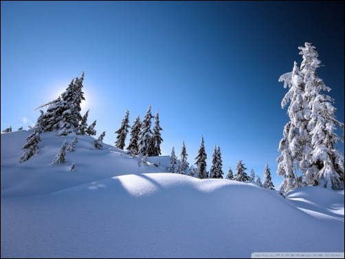 beautiful winter scenery wallpaper