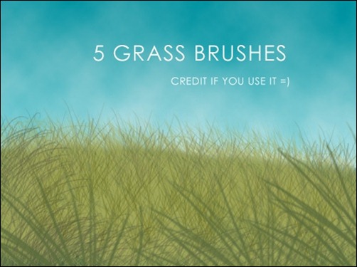 5-Grass-Brushes