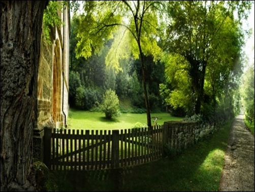 Beautiful-Pathway,-Summer-wallpaper-summer-wallpaper