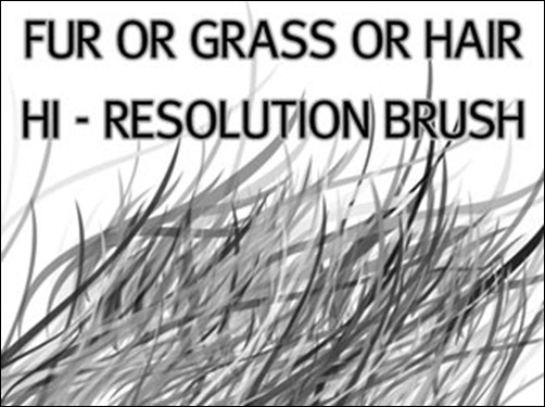 Fur_Grass-Or-Hair-HiRes-Brush