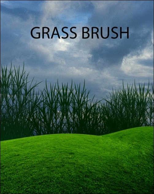 GRASS-BRUSH[3]