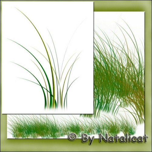 Grass-Brush-4