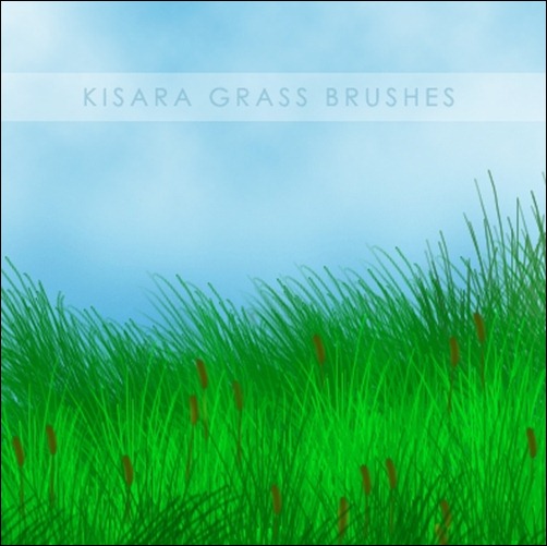 Grass-Brushes[5]