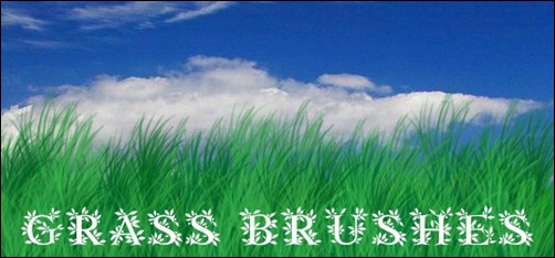 Grass- PS-Brushes 