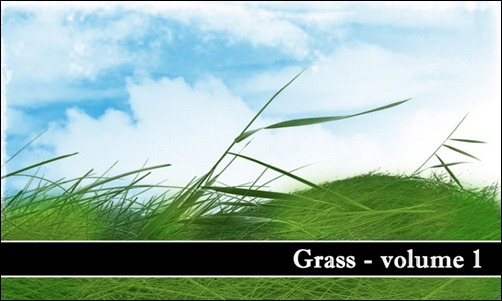 Grass---Volume---1