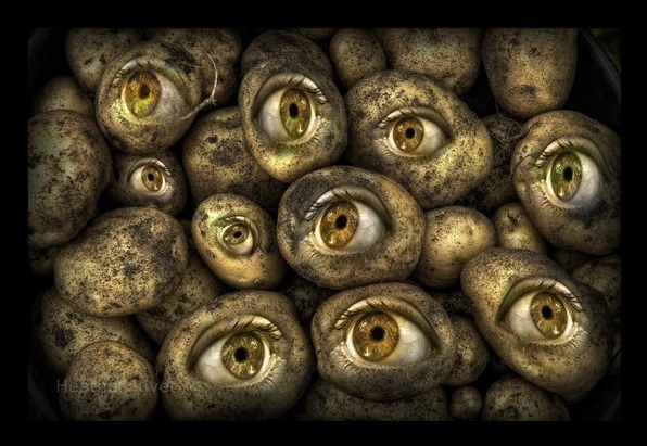 How Long Does It Take For Potatoes To Grow Eyes - How Do You Force Potatoes To Grow Eyes