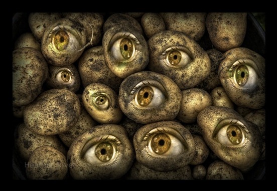 Help-My-Potatoes-Have-Eyes