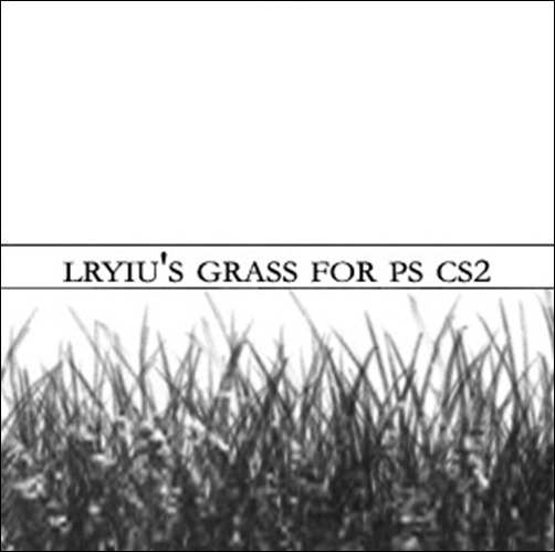 Lryius-Grass