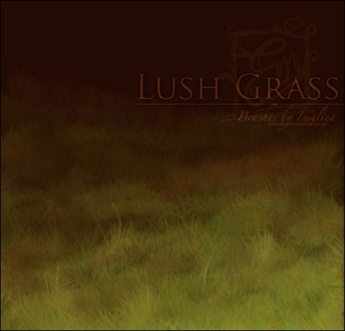 Lush-Grass-Brush