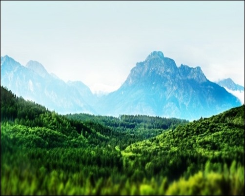 Mountain-Forest-Tilt-Shift-forest-wallpaper