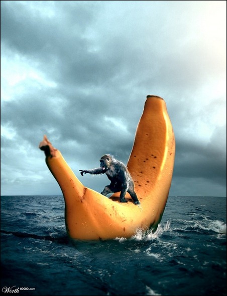 Sailing-Banana