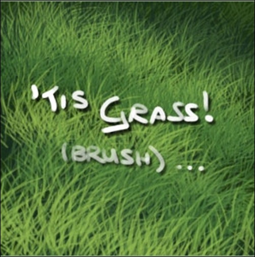 Tis-Grass---Brush-EDIT
