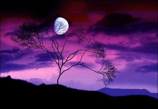 moon-behind-tree